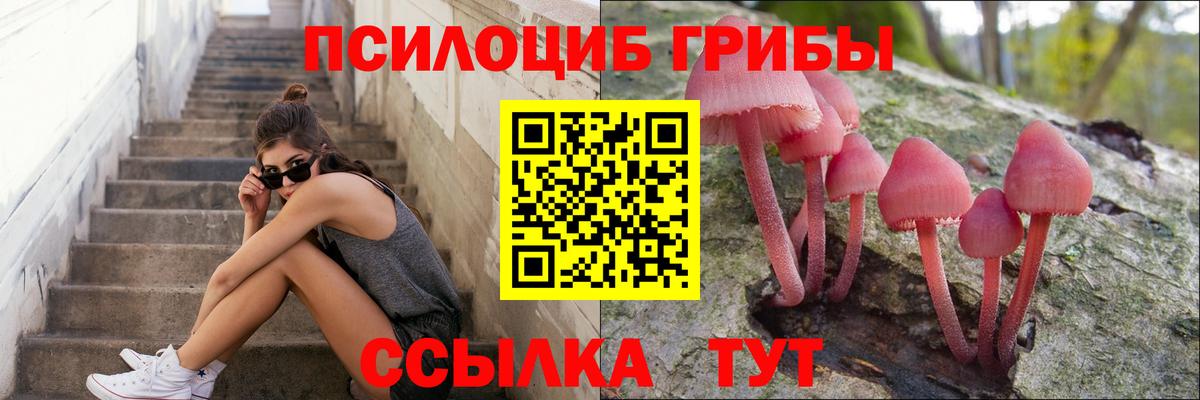 Псилоцибиновые грибы мухоморы  Псилоцибиновые грибы ЛСД  Рубцовск  Вход с VPN 